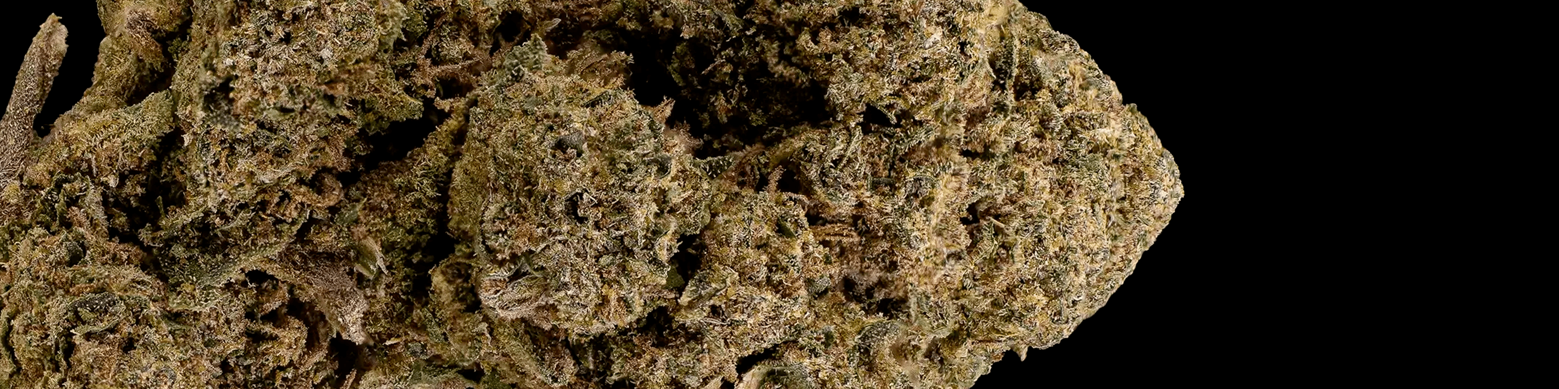 Dense CBD cannabis buds with a light green color and visible trichome coating.