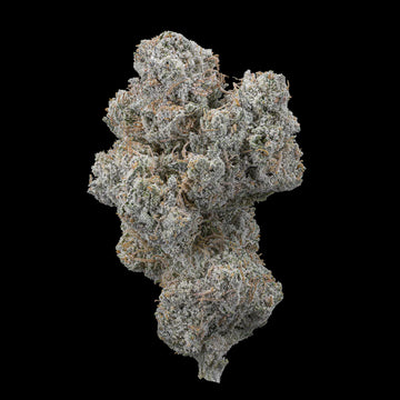 Nebula Kush - 22% THCA