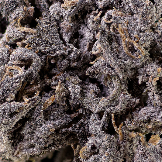 Blood Moon Flower - 23% THCA