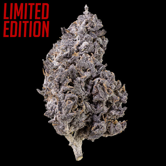 HALLOWEEN BUNDLE - 2x5G