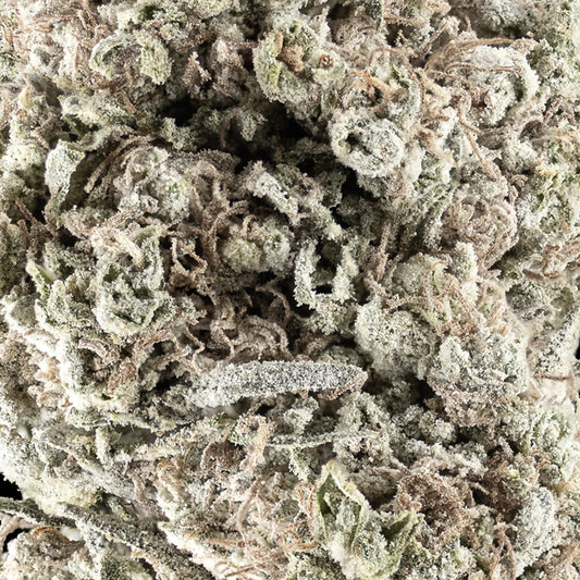 N*1 Sativa - 23% THCA