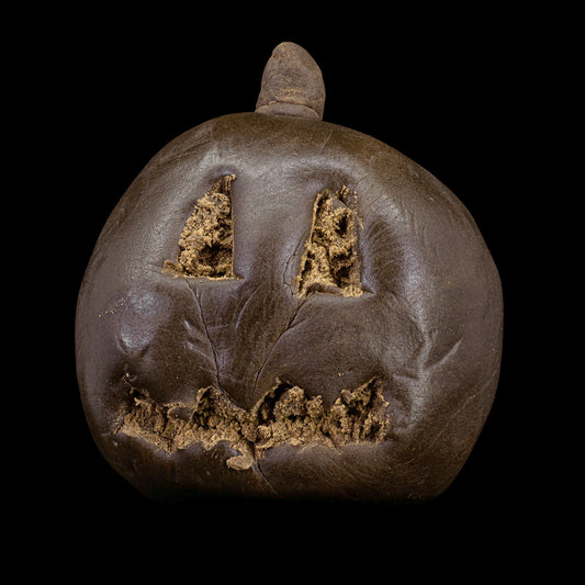 Zombie Brain - 25% THCA