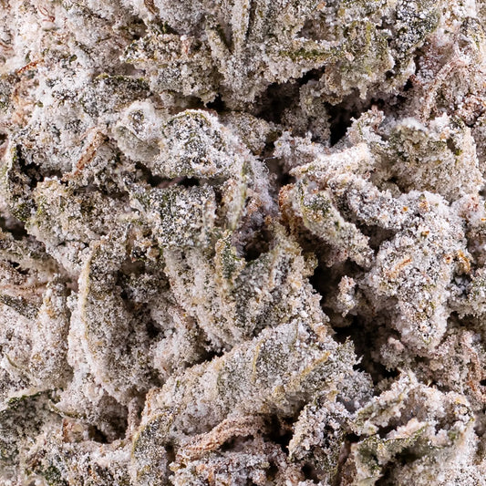 Close-up of Apple Fritter 24% THCA bud showing dense frost and resin detail