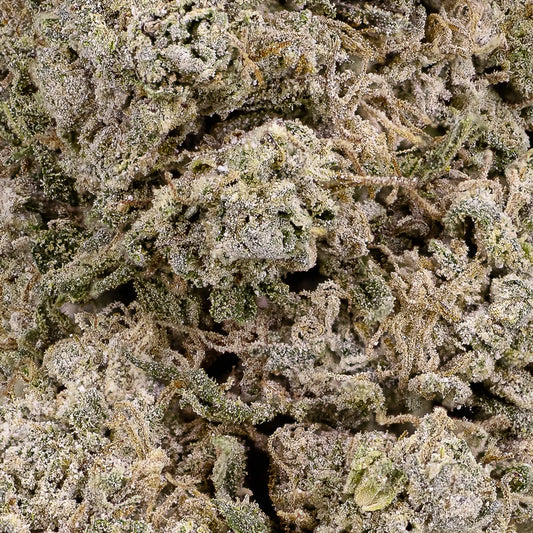 Close-up of Copenhagen Kush THCA bud showing frosted trichomes and compact structure