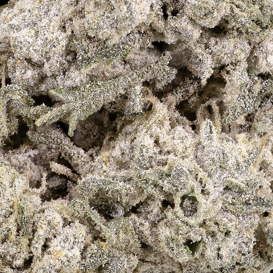 Close-up of Kinky Kush THCA bud showing crystal-coated surface and compact structure