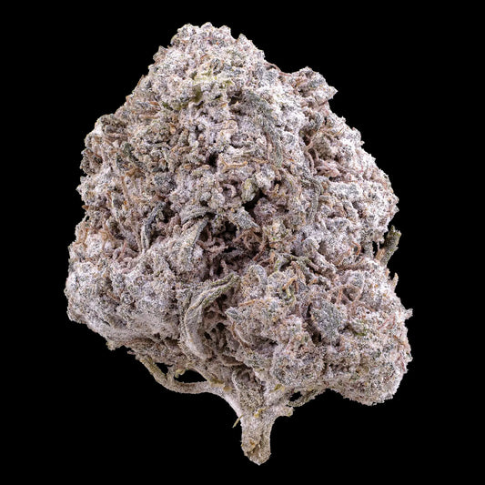 Odense O.G. 23% THCA indoor flower with dense trichome coverage