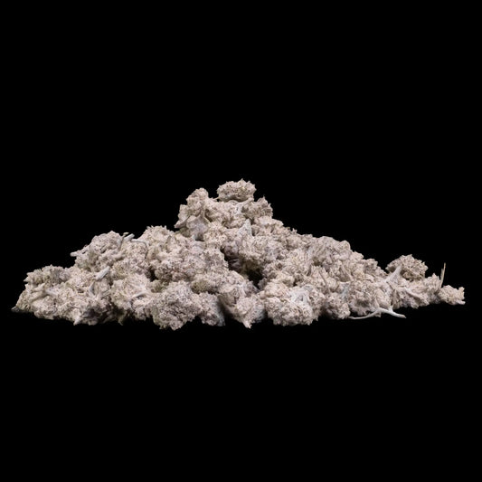 Pink Zkittlez THCA popcorn buds grown in Spanish glasshouse