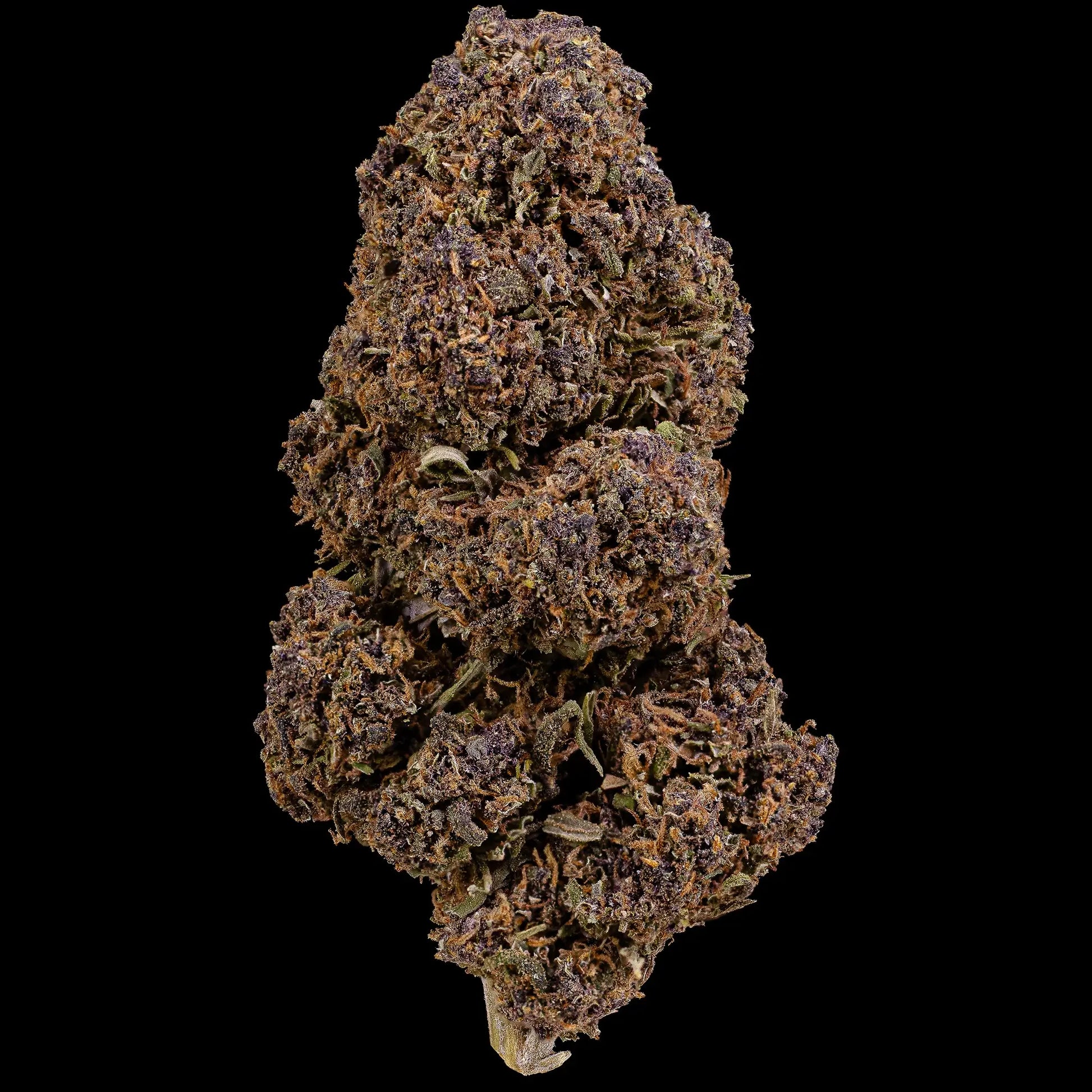 Purple Puff 17% CBD flower with dark purple hues grown in Spanish glasshouse
