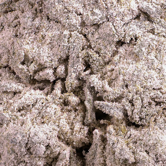 Close-up of Skunk 1 THCA bud showing crystal coverage and classic skunky structure