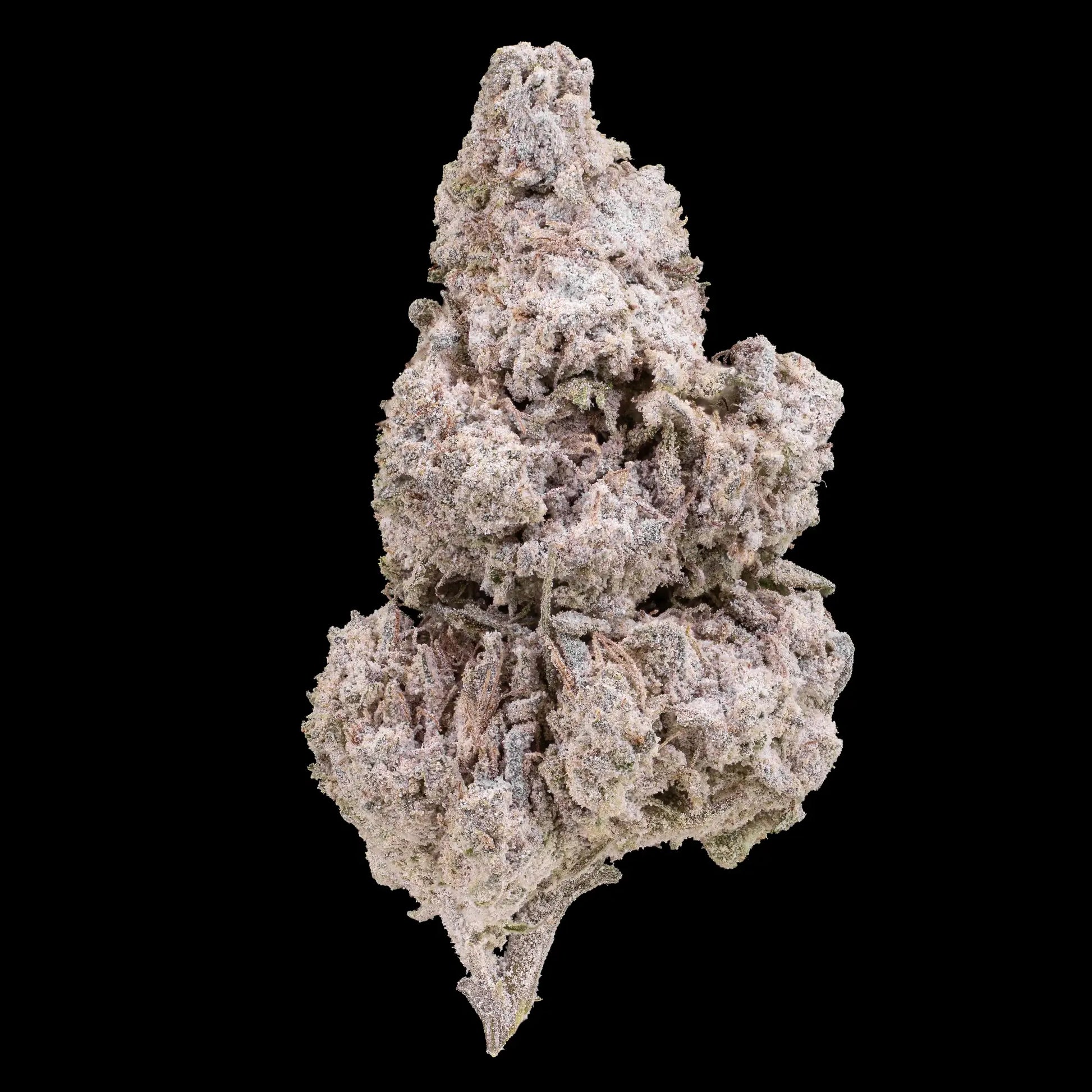 Trainwreck 23% THCA glasshouse cannabis flower with dense frost-covered buds