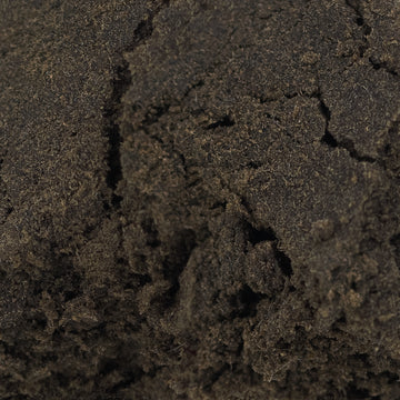 Nærbillede af mørk, tætpresset hash med en let skinnende overflade og tydelig struktur af fine trichomer.