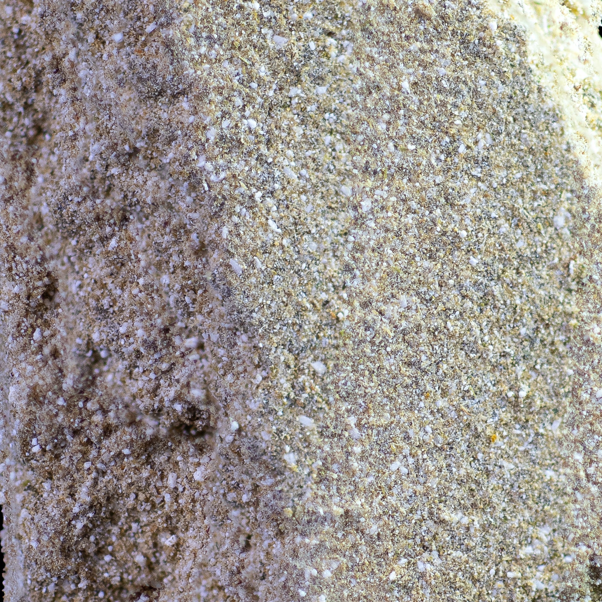 Nærbillede af Super Pollen-hash med gylden farve og smuldrende, blød tekstur. Hashen ligger på en neutral baggrund og fremstår tør og let.