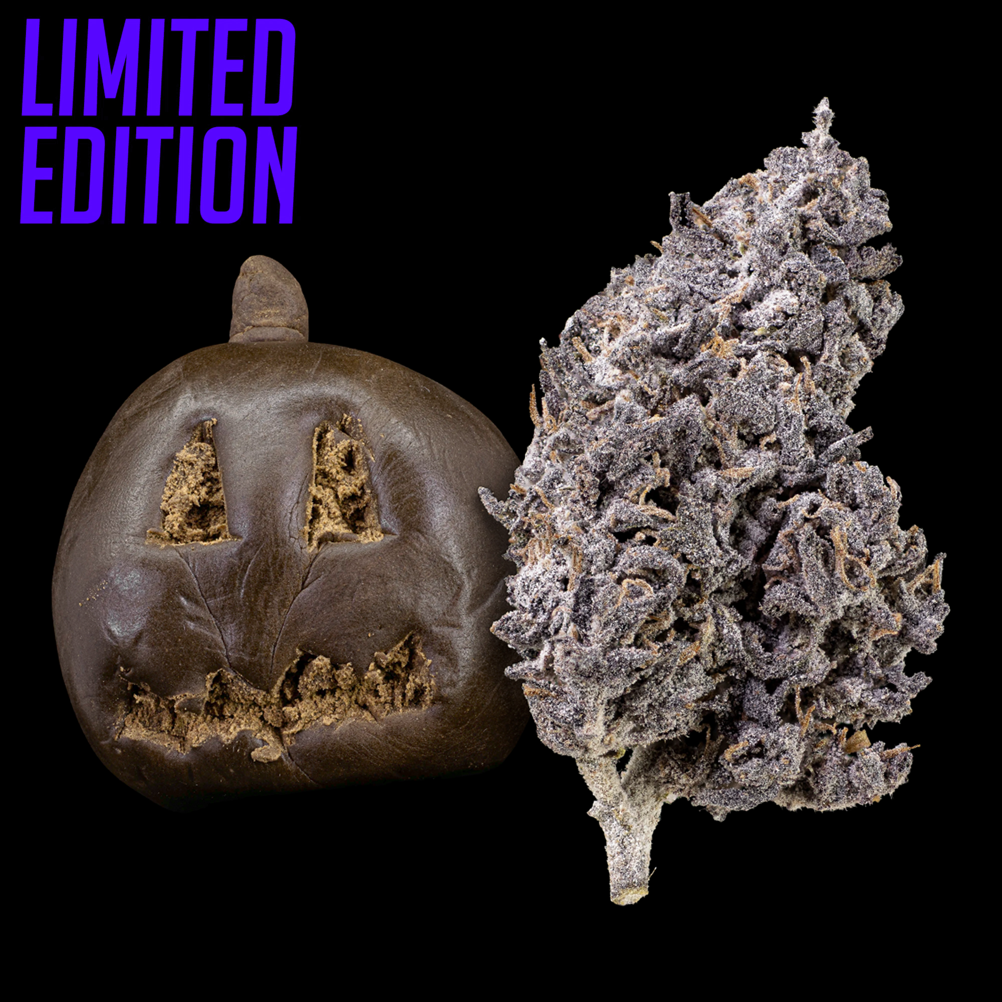 HALLOWEEN BUNDLE - 2x5G