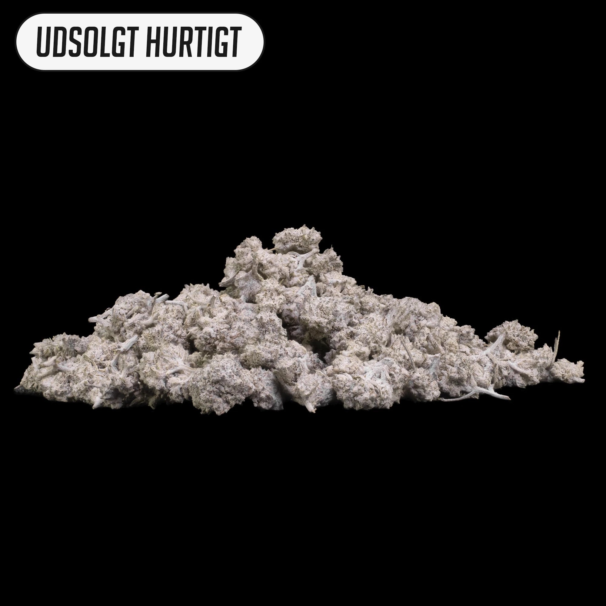 Pink Zkittlez popcorn topskud i 25g-variant med lys grøn farve og synlige THCA-trichomer i kompakt struktur.